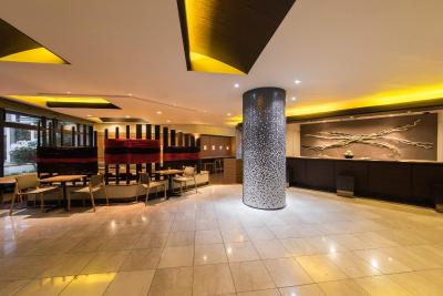 د ب اُچانمیزو