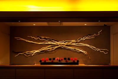 د ب اُچانمیزو