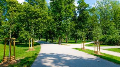 ویلا سهویجر