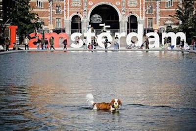 کسو هتل سیتی سنتر