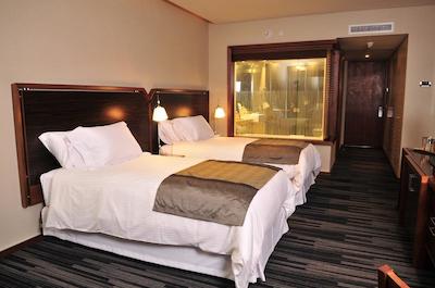 دریمز دل استرچو پونتا ارناز