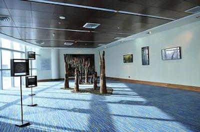 دریمز دل استرچو پونتا ارناز