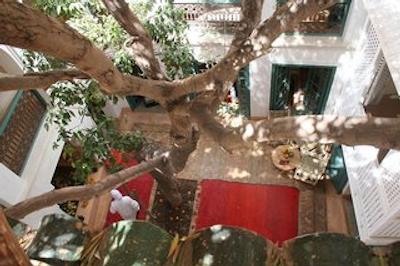 ماراکچ ریادز دار زیتونا