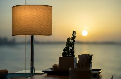 ملی آلیکانت