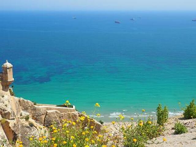 ملی آلیکانت