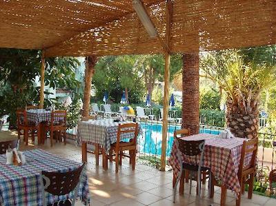 گولدن لایدوس