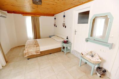 گولدن لایدوس