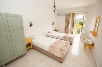 گولدن لایدوس