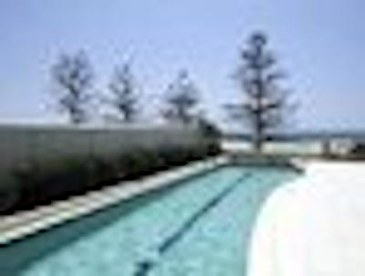 رفلکشن اُن د اسیا