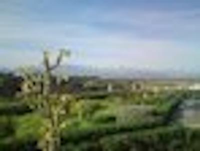 ریاد ال آیسی