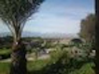 ریاد ال آیسی