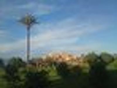 ریاد ال آیسی