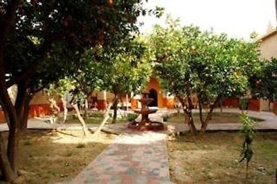 ریاد ال آیسی