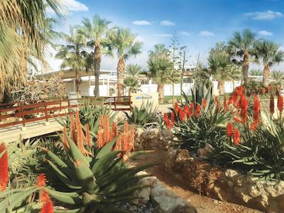 اکتی بیچ ویلیج ریزرت