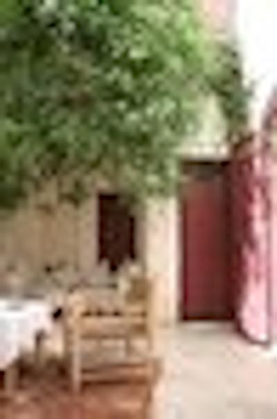 ریاد دار تاریک