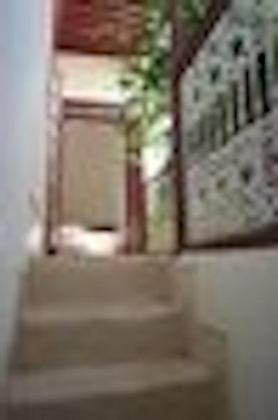 ریاد دار تاریک