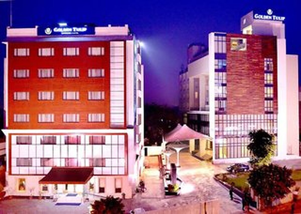 گولدن تولیپ لوکنو