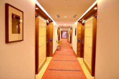 گولدن تولیپ لوکنو