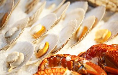 د وستین شنزهن نانشان