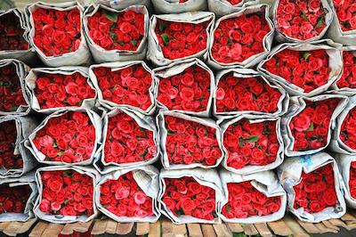 اوروم د ریور پلیس