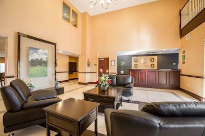 کمفرت این اند سویتز اوگوستا