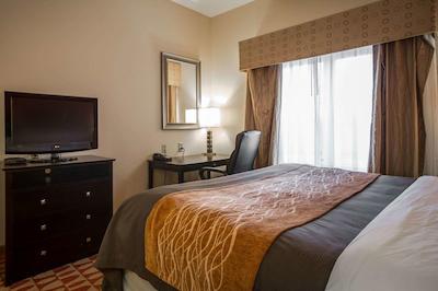 کمفرت این اند سویتز اوگوستا