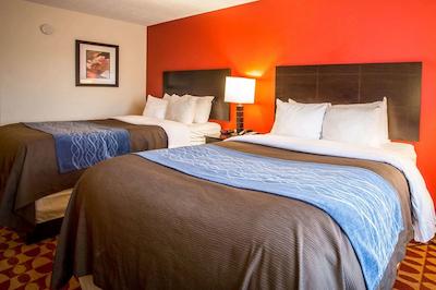 کمفرت این اند سویتز اوگوستا