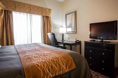 کمفرت این اند سویتز اوگوستا