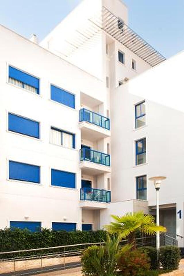 آلیکانت هیلز