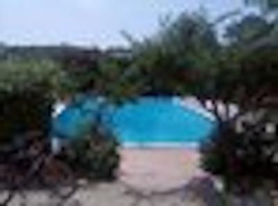 گویتارت کلوب گویا