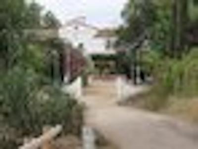 گویتارت کلوب گویا