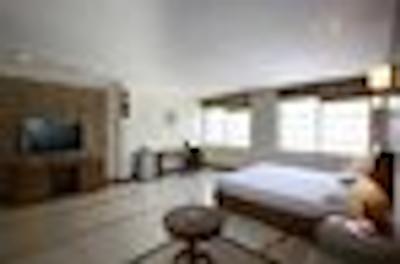 اُرینتال سویتز لادی کورزن راد