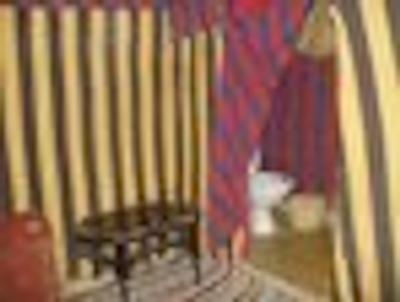 اکلج اود نوجوم