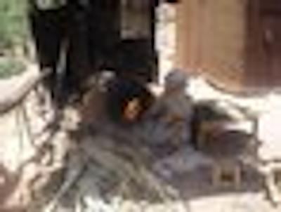 اکلج اود نوجوم