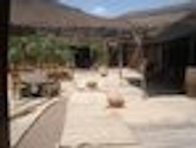 اکلج اود نوجوم