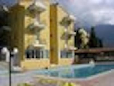 کارپ دیم بیجهان