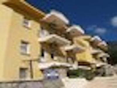 کارپ دیم بیجهان