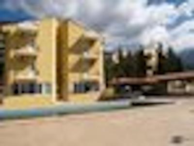 کارپ دیم بیجهان