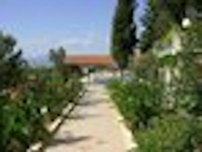 کارپ دیم بیجهان