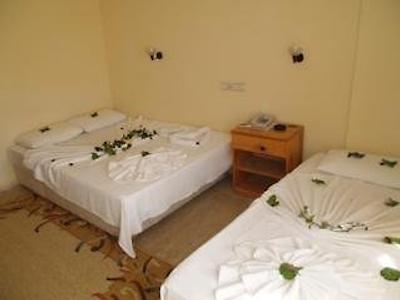 کارپ دیم بیجهان