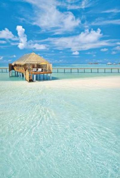 کنستانس موفوشی مالدیو