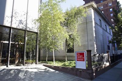 د کیتانو نو یرک