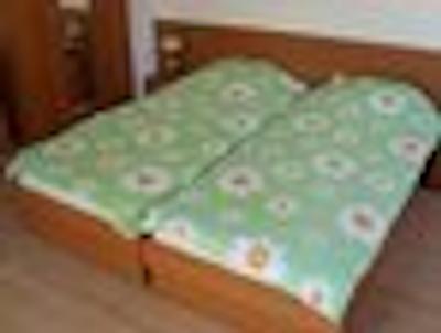 ساننی اسیا پالاس