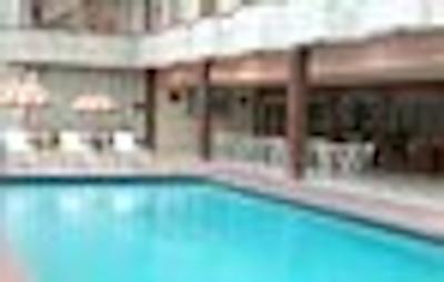 مایا اینترنشنال