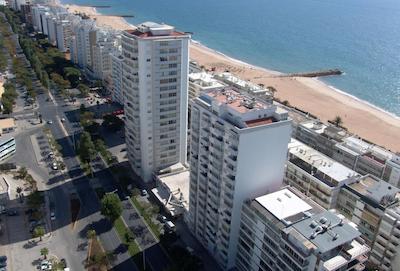 ترز میرا پریا