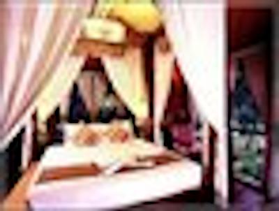 فرن پارادیس