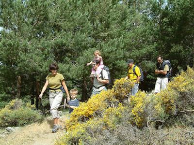 اپارتاهتل ترونک