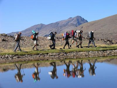 اپارتاهتل ترونک