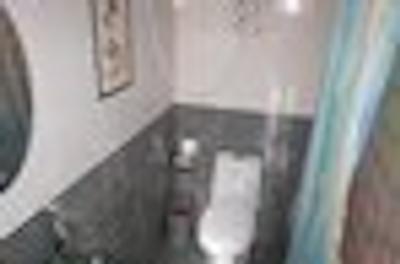 پرپل کورتیارد