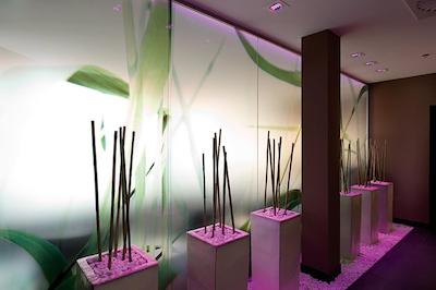 نه کالکشن درسدن آلتمارکت